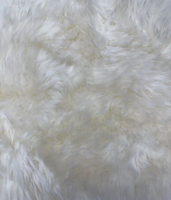 Raw natural wool fibers ready for spinning